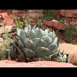 Meet your Posher, Jeanne